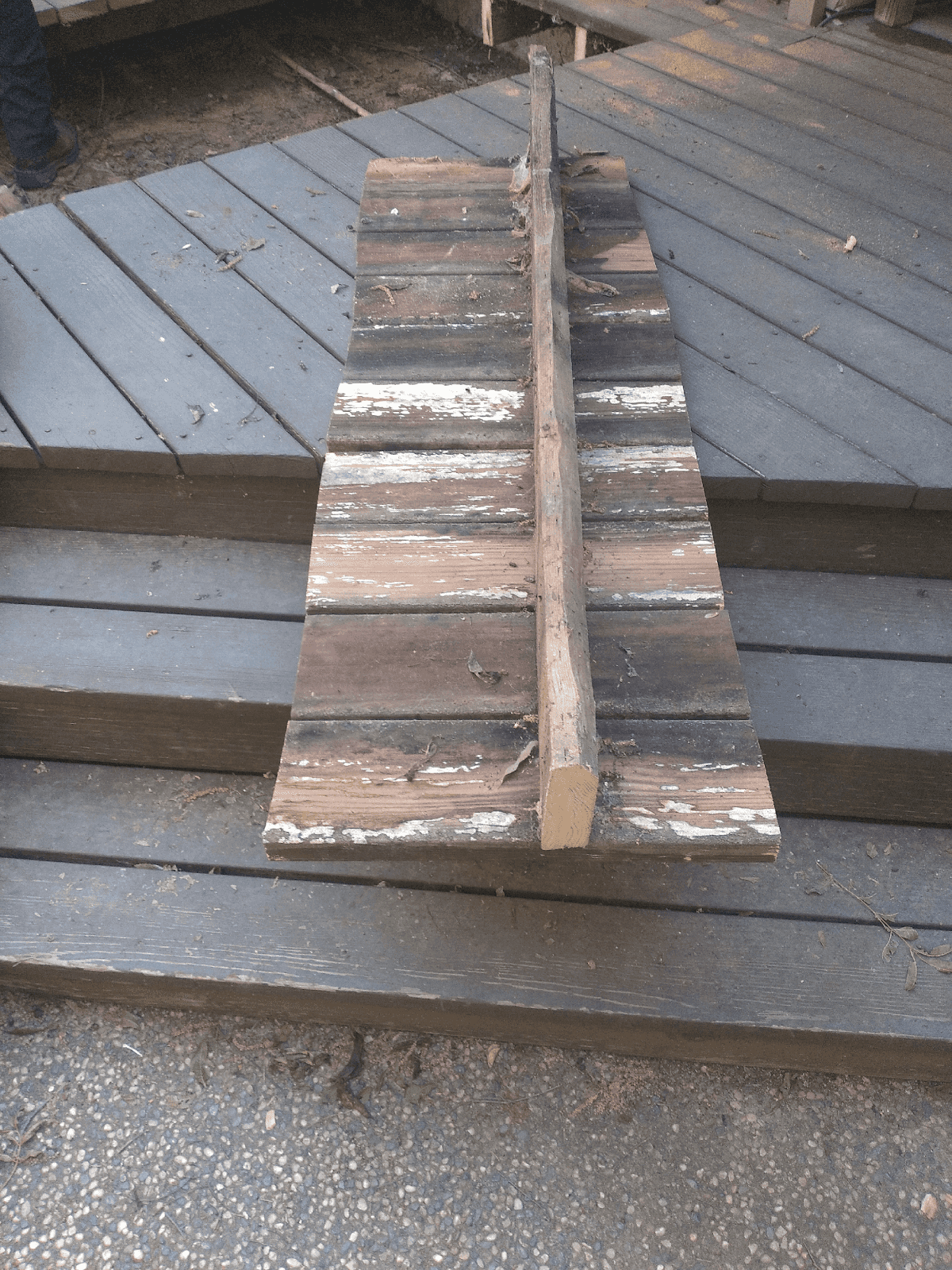 Dry rot on a removed section of old deck